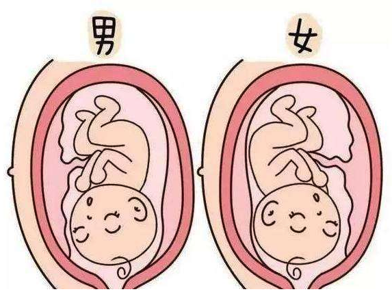 上海哪里做供卵试管不等？附2024上海供卵试管婴儿男科医院十强名单-德宝