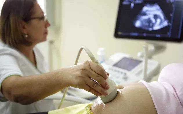 2024湖北省妇幼保健院借卵生子试管费用多少？附借卵包生男孩费用参考