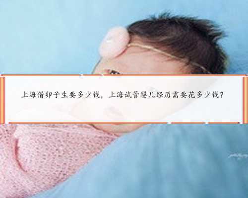 上海借卵子生要多少钱，上海试管婴儿经