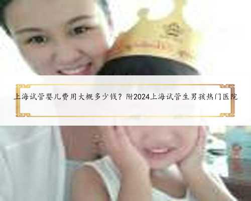 上海试管婴儿费用大概多少钱？附2024上海试管生